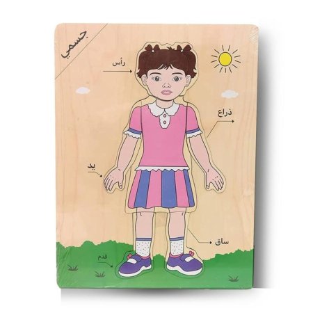 لوحة خشبية أعضاء الجسم للبنت