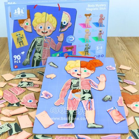 لعبة تركيب جسم الإنسان المغناطيسية