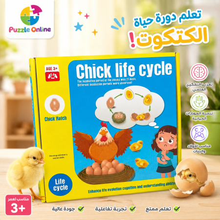 لعبة دورة حياة الكتكوت التعليمية